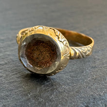 Load image into Gallery viewer, Stuart Crystal Ring