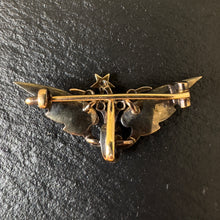 Load image into Gallery viewer, Enamel & Diamond Wing Brooch