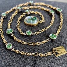 Load image into Gallery viewer, On hold - Essex Crystal Clover Necklace