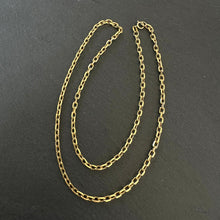 Load image into Gallery viewer, ? Gold Chain
