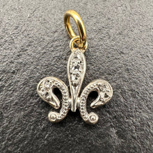 Load image into Gallery viewer, Fleur de lys charm
