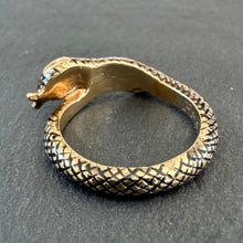 Load image into Gallery viewer, Enamel Snake Ring
