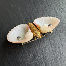 Load image into Gallery viewer, Shell Butterfly Brooch
