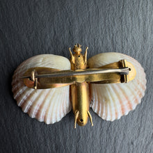 Load image into Gallery viewer, Shell Butterfly Brooch
