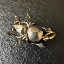 Load image into Gallery viewer, Bug Pendant
