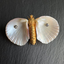 Load image into Gallery viewer, Shell Butterfly Brooch
