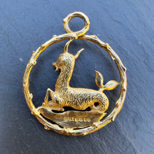 Load image into Gallery viewer, Capricorn Pendant
