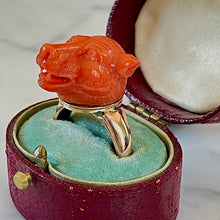 Load image into Gallery viewer, ON HOLD Carved Coral Dog Ring
