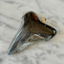 Load image into Gallery viewer, Vintage Fossilized Shark Tooth Pendant
