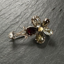 Load image into Gallery viewer, Harlequin Pansy Comet
