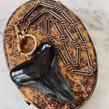 Load image into Gallery viewer, Vintage Fossilized Shark Tooth Pendant
