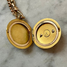 Load image into Gallery viewer, Dog Locket Pendant
