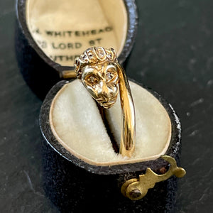 Lion Head Ring